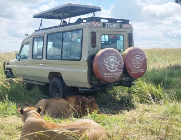 5-Days Kenya Safari Masai Mara, Naivasha and Olpajeta