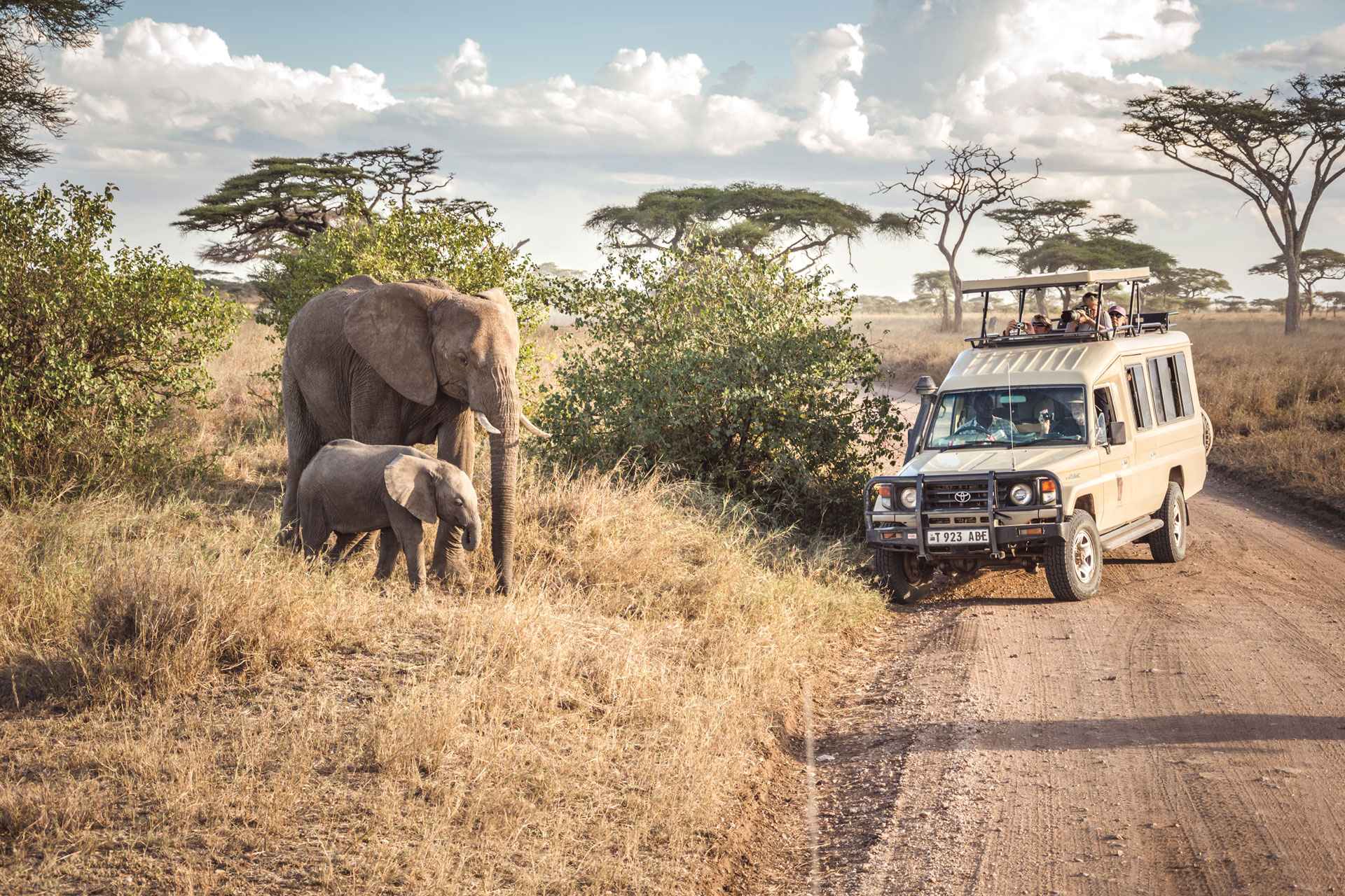 7 Days Honeymoon Safari to Four Season Lodge