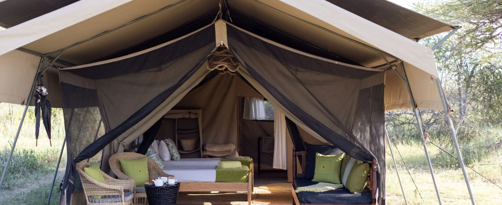 The Real Tanzania Safari Costs