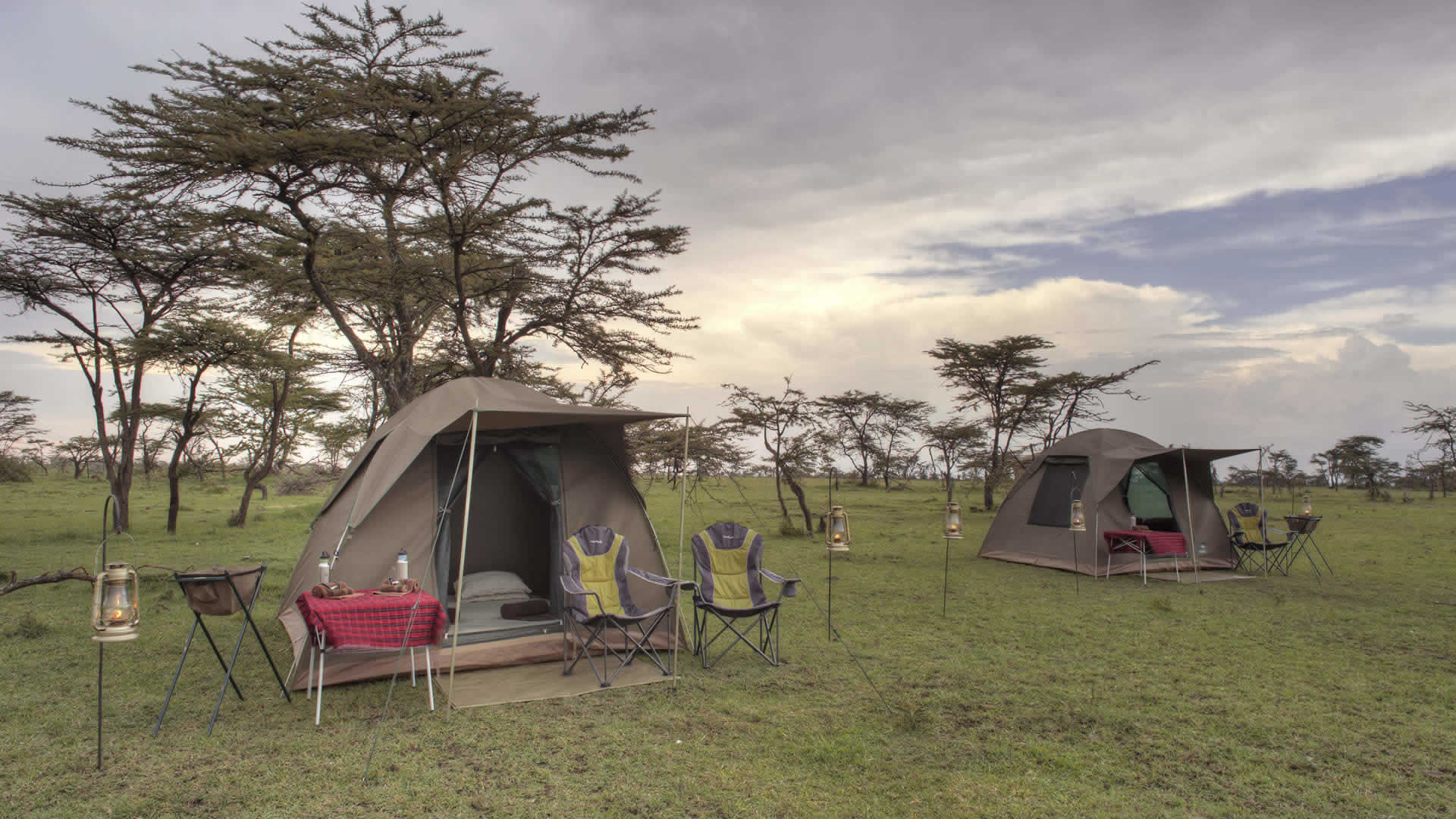The Real Tanzania Safari Costs
