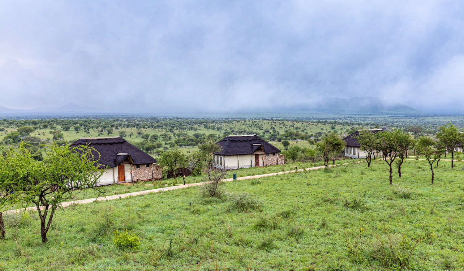 Budget Private Safari Tanzania